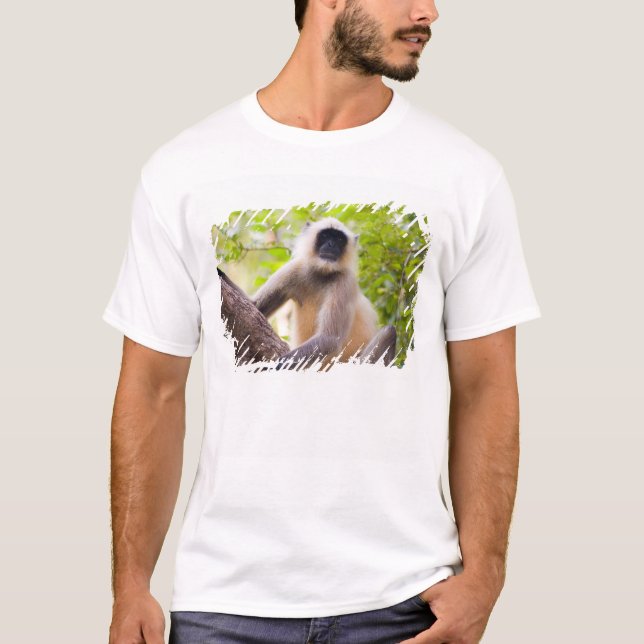 Camiseta Mono en la selva del Parque Nacional de Ranthambor (Anverso)