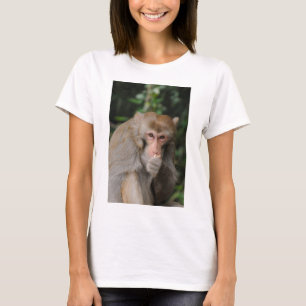 Camiseta Mono macho macaco