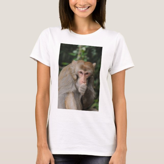 Camiseta Mono macho macaco (Anverso)