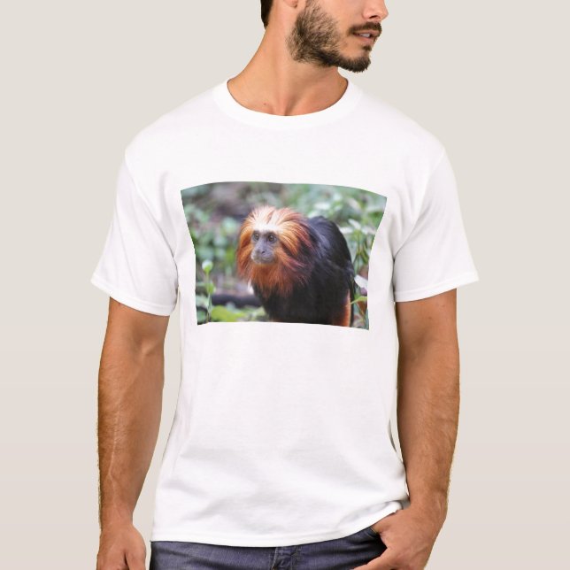 Camiseta Mono Tamarin de León con Cabecera Dorada (Anverso)