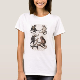 Camiseta Monos (color litho)