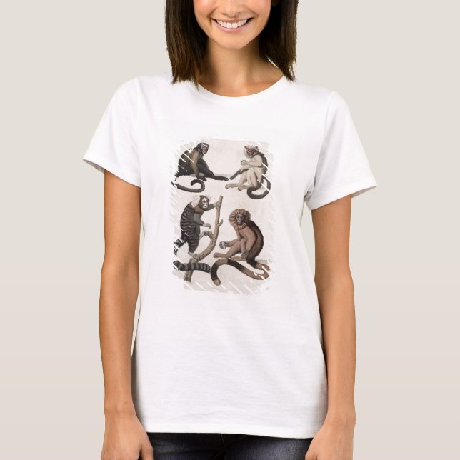 Camiseta Monos (color litho) (Anverso)