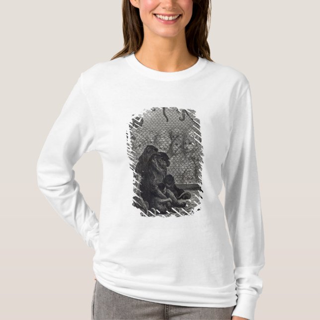 Camiseta Monos de London (Anverso)