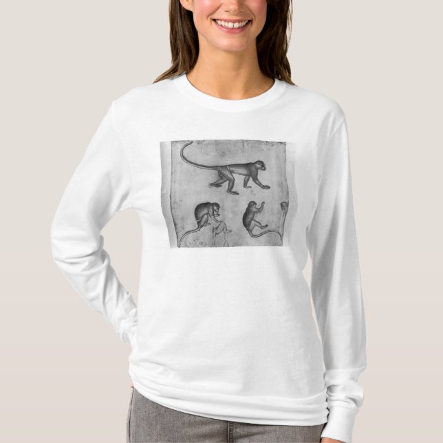 Camiseta Monos, del álbum de Vallardi (Anverso)