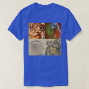 Camiseta Montaje Macro de Fósil de Ammonita