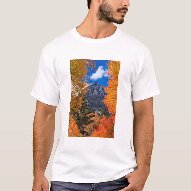 Camiseta Montaña enmarcada en follaje otoño, CA (Anverso)
