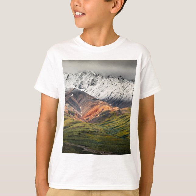 Camiseta Montaña policromada, Denali NP, Alaska (Anverso)