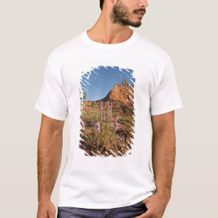Camiseta Montaña y Gayfeather