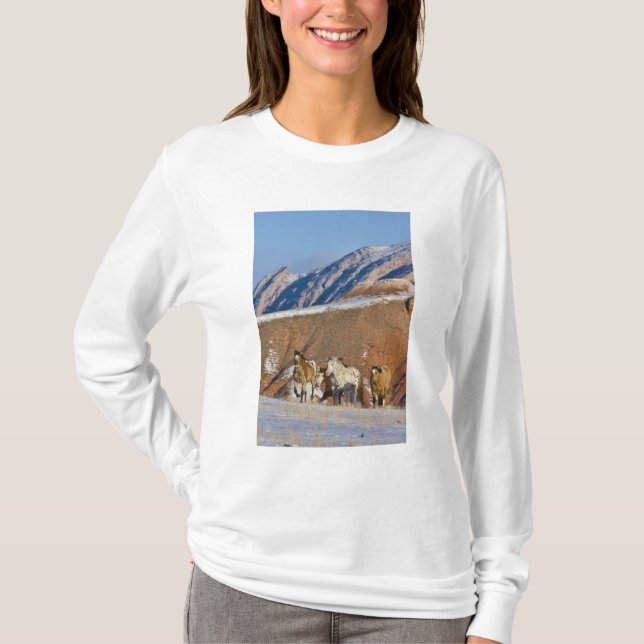 Camiseta Montañas Big Horn, Caballos corriendo (Anverso)