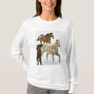 Camiseta Montañas Big Horn, Caballos corriendo en la nieve