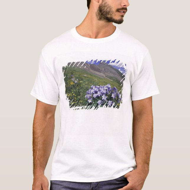 Camiseta Montañas y flores silvestres en pradera alpina, az (Anverso)
