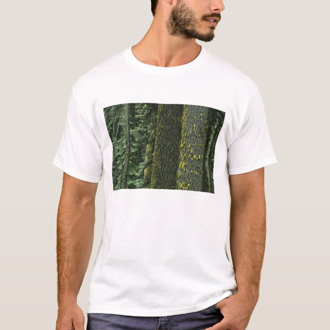 Camiseta Monte Ashland, Bosque Nacional del río Rogue, (Anverso)