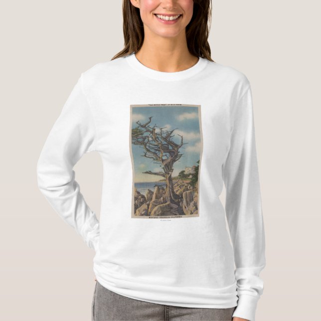 Camiseta Monterey, CA - árbol viejo de la bruja en 17 (Anverso)