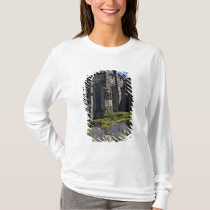 Camiseta Monumento Nacional a la Guerra de Escocia, Edimbur