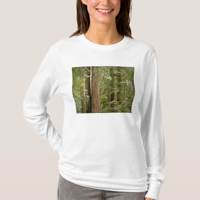 Camiseta Monumento Nacional Muir Woods, Norte (Anverso)
