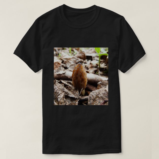 Camiseta Morel Season (Diseño del anverso)