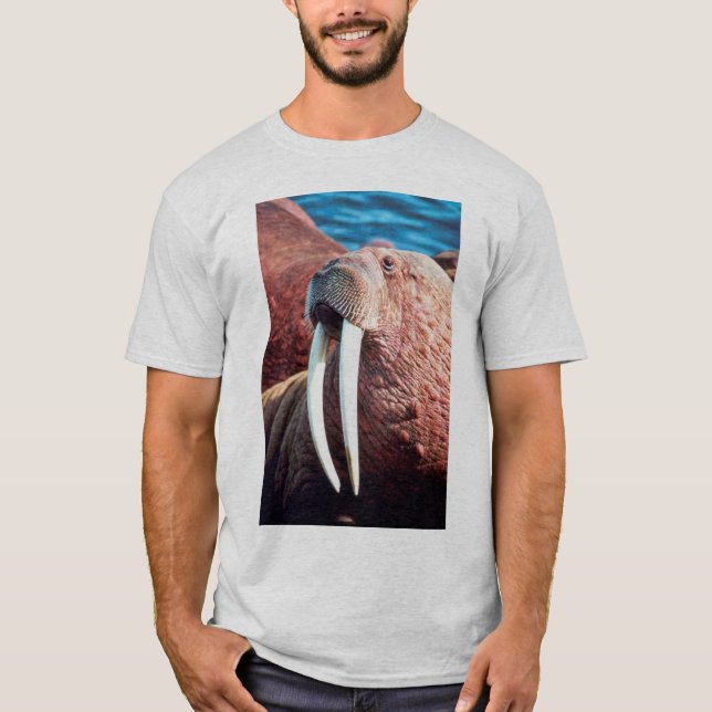 Camiseta Morsa (Anverso)