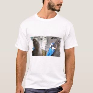Camiseta Morsa divertida