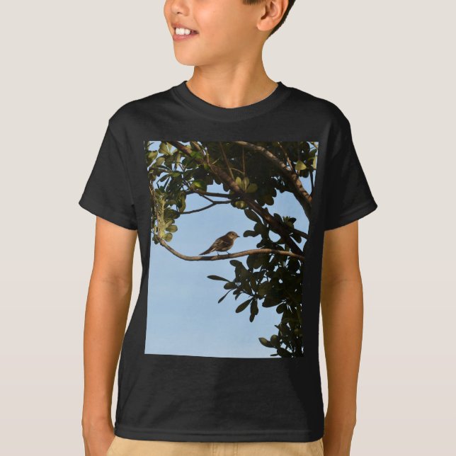Camiseta Mosquitero común (Anverso)