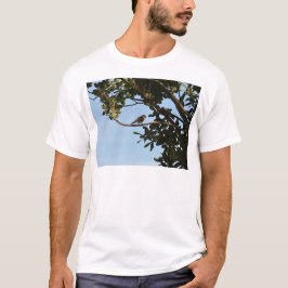 Camiseta Mosquitero común