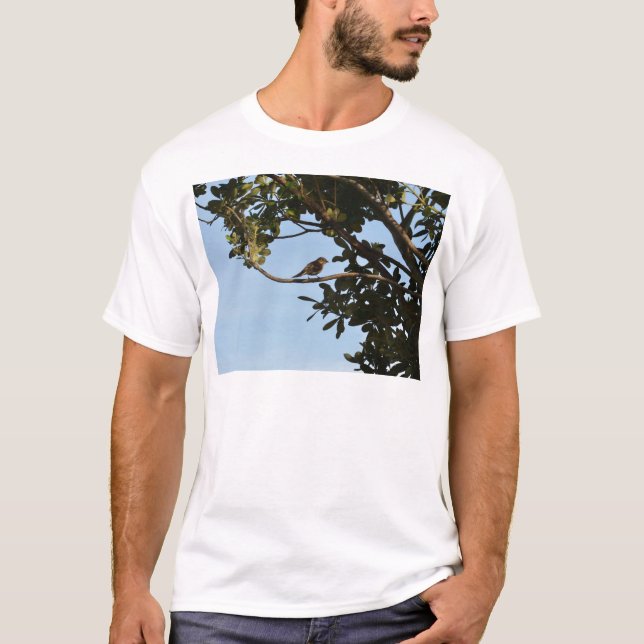 Camiseta Mosquitero común (Anverso)