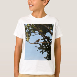 Camiseta Mosquitero común