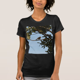 Camiseta Mosquitero común