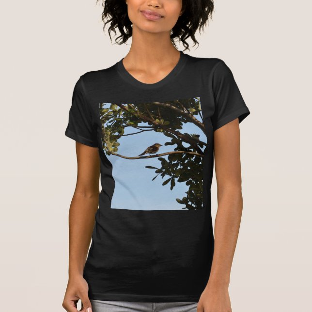 Camiseta Mosquitero común (Anverso)