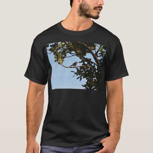 Camiseta Mosquitero común (Anverso)
