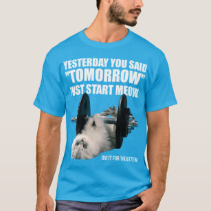 Camiseta Motivación divertida del entrenamiento - gato -