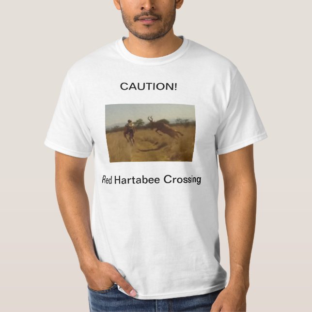 Camiseta Motorista de la montaña contra el dólar en África (Anverso)