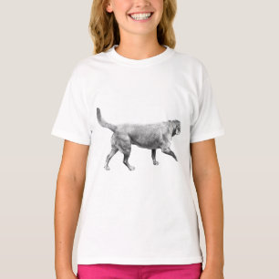 Camiseta movimiento de silencio matutino