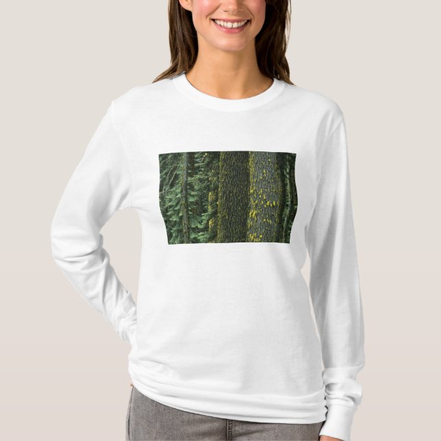 Camiseta Mt. Ashland, Bosque Nacional Rogue RIver, (Anverso)