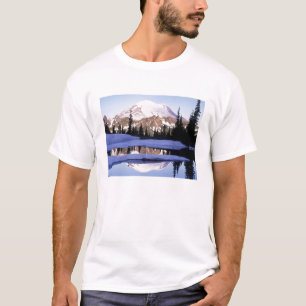 Camiseta Mt Rainer
