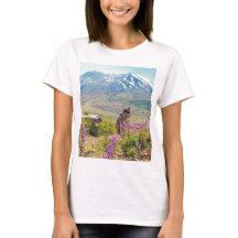 Mt. St Helens