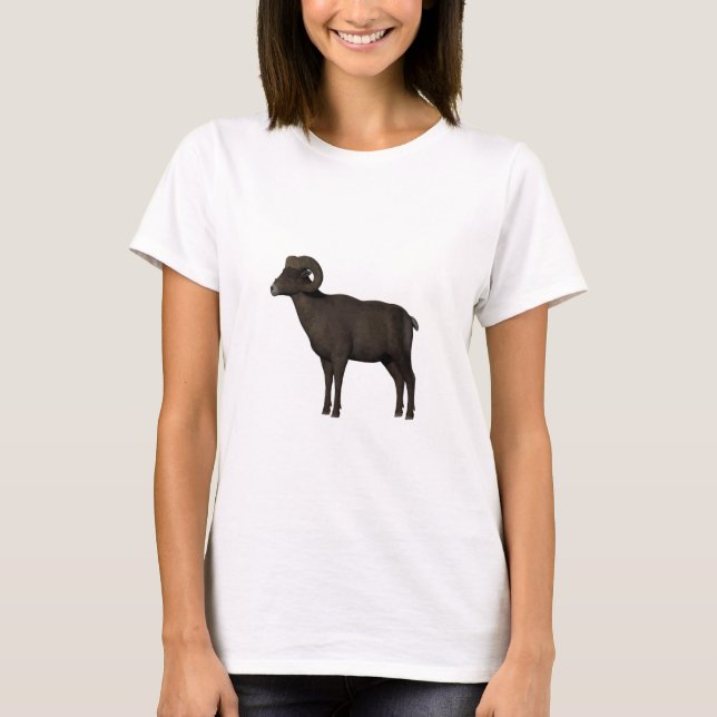 Camiseta Muffel (Anverso)