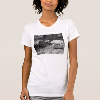 Camiseta Mujer botella-que alimenta un antílope