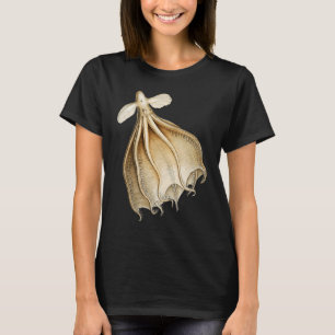 Camiseta Mujeres Calamares Octopus Hombres Juventud Cep Sub