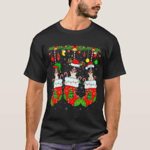 Camiseta Mujeres Perro San Bernardo En Calcetines De Navida