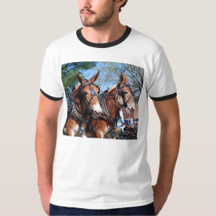 Camiseta mulas y burros 028