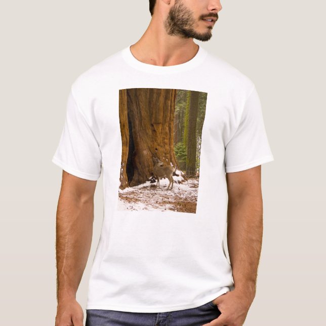 Camiseta Mule Deer (Anverso)