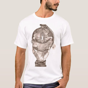 CAMISETA MUNDO DEL EOD