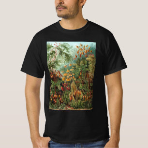 Camiseta Muscinae antiguos, plantas de musgo por Ernst Haec