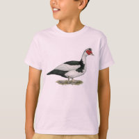 Muscovy Drake de varios colores negro