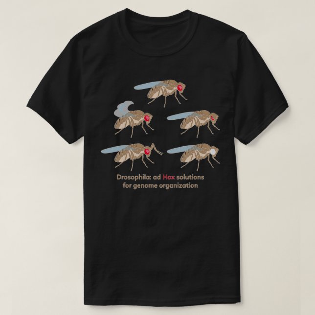 Camiseta Mutaciones de drosophila y soluciones de hox para  (Diseño del anverso)