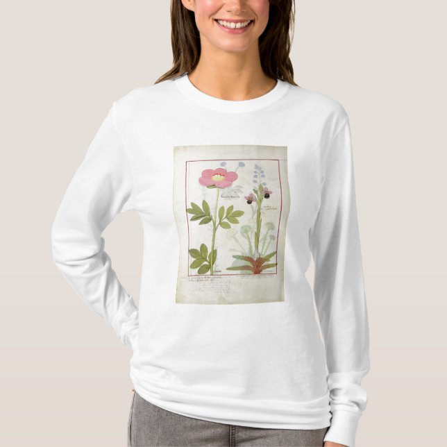Camiseta Myanthos del Paeonia o Peony, y de Orchis (Anverso)