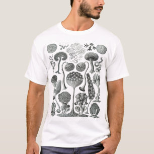 Camiseta Mycetozoa - Kunstformen der Natur (1904) por Ernst
