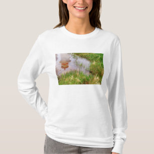 Camiseta N.A. Canadá, Nueva Escocia, Peggy's Cove.