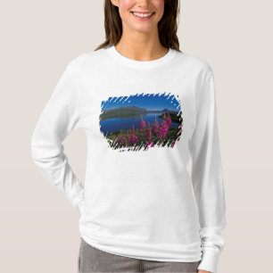 Camiseta N.A., EE. UU., Alaska, Alaska Range Común