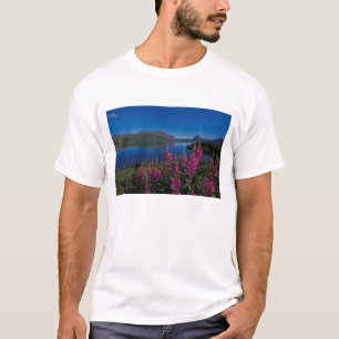 Camiseta N.A., EE. UU., Alaska, Alaska Range Común